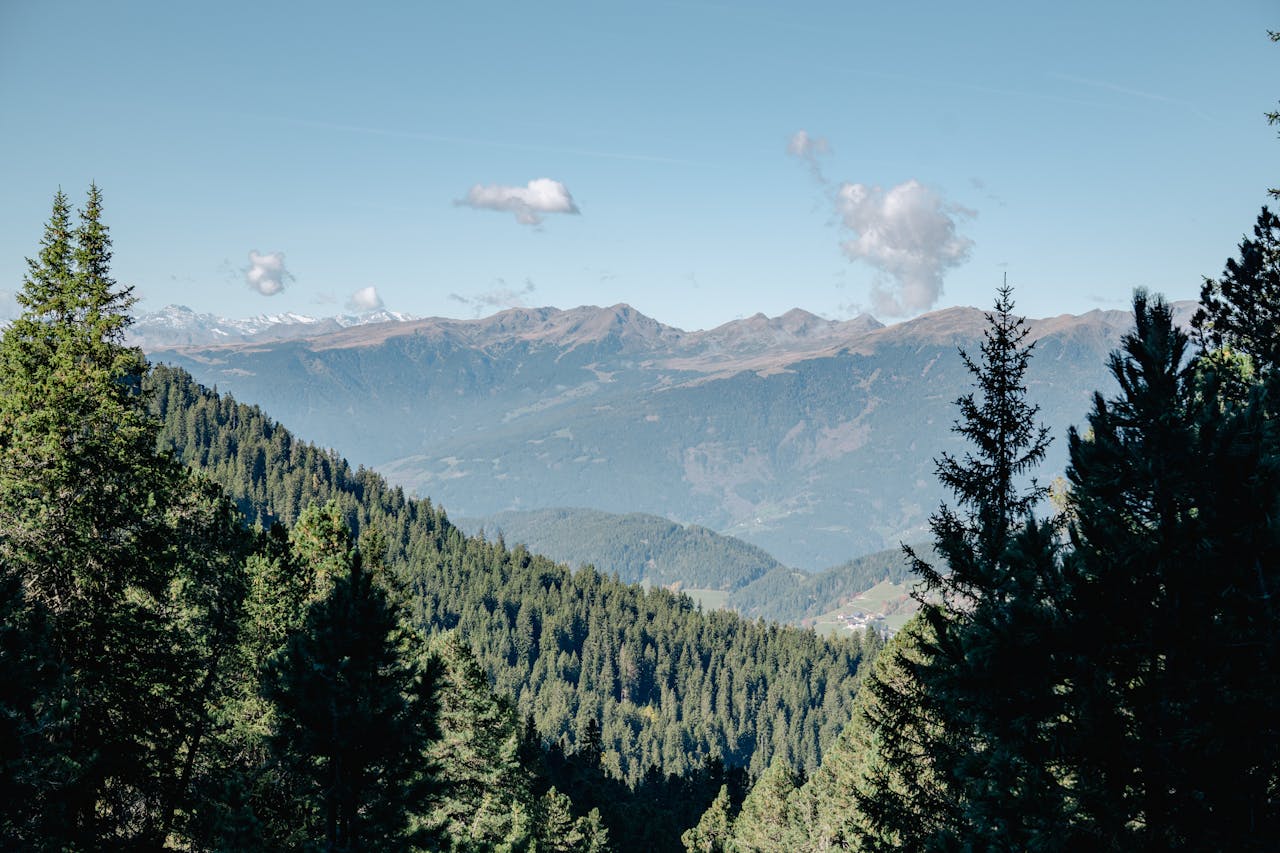 Breathtaking landscape of the Dolomites with lush green forests and clear skies, perfect for nature enthusiasts.